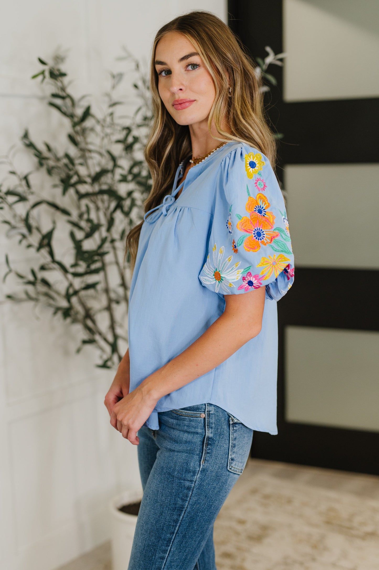 PREORDER: Embroidered Puff Sleeve V-Neck Blouse in Light Blue